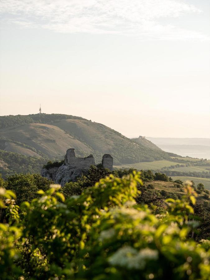 Marinada Vinicni Dum Bed and Breakfast Pavlov Buitenkant foto