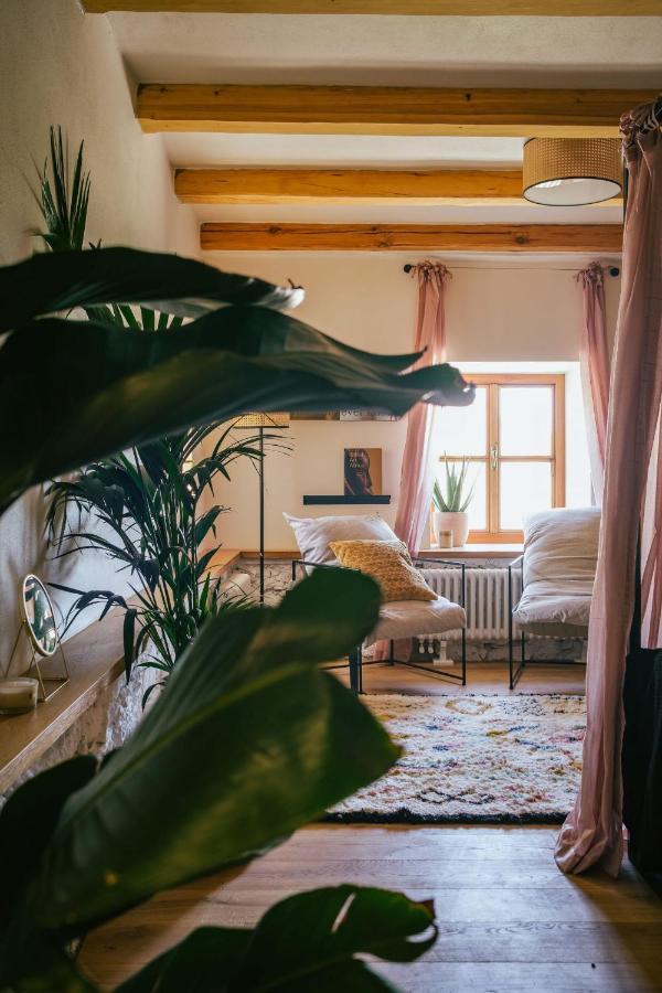 Marinada Vinicni Dum Bed and Breakfast Pavlov Buitenkant foto